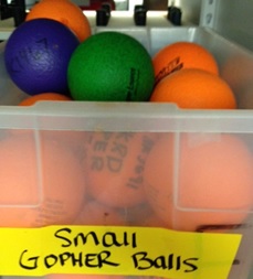 Gopher Balls-3.5