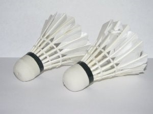 badminton_birdies