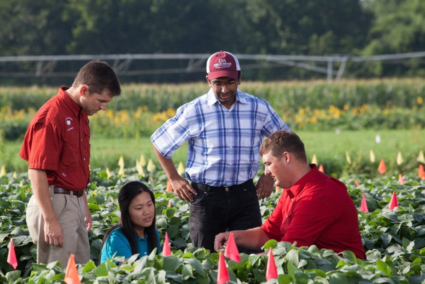 Students with crops